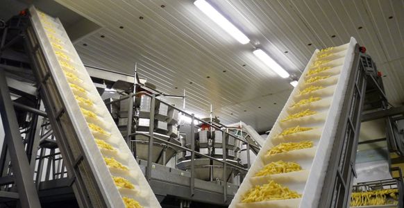 Znany polski producent frytek i przetworów ziemniaczanych inwestuje w Małopolsce [FILM]