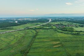 Nowe życie Pól Osobowickich we Wrocławiu. Od dawnej oczyszczalni do ptasiego rezerwatu [FILM]