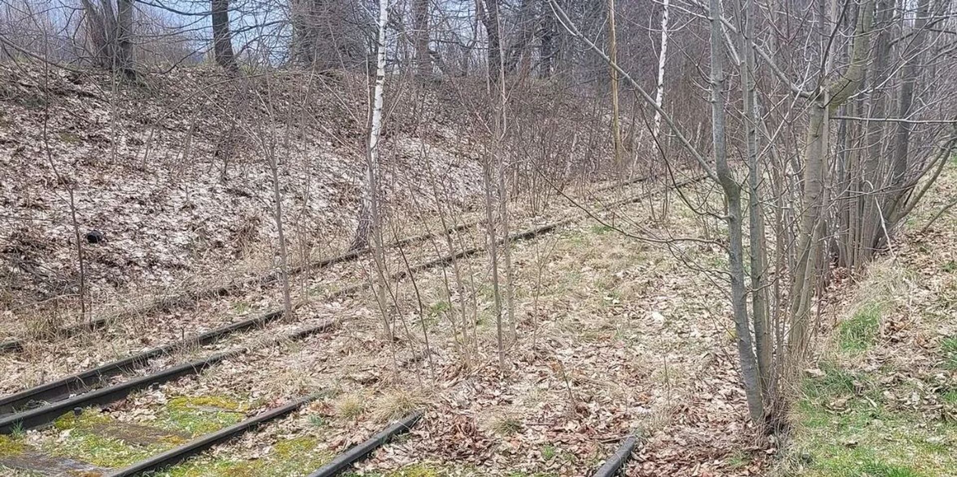 Dolny Śląsk: linia kolejowa nr 322 Kłodzko - Lądek-Zdrój - Stronie Śląskie powróci do życia!