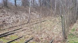 Dolny Śląsk: linia kolejowa nr 322 Kłodzko - Lądek-Zdrój - Stronie Śląskie powróci do życia! [FILM]