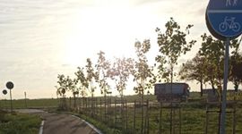 Wzdłuż DK22 w Wielkopolsce powstanie kolejny, 13-kilometrowy odcinek trasy na rowerowe wycieczki