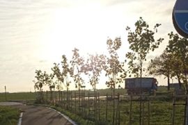 Wzdłuż DK22 w Wielkopolsce powstanie kolejny, 13-kilometrowy odcinek trasy na rowerowe wycieczki