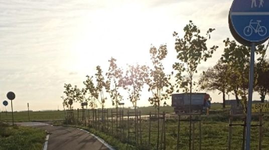 Wzdłuż DK22 w Wielkopolsce powstanie kolejny, 13-kilometrowy odcinek trasy na rowerowe wycieczki