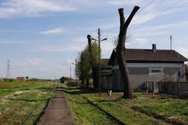 Chcą wskrzesić linię kolejową sprzed 120 lat. Samorządy naciskają, rząd pozostaje niewzruszony
