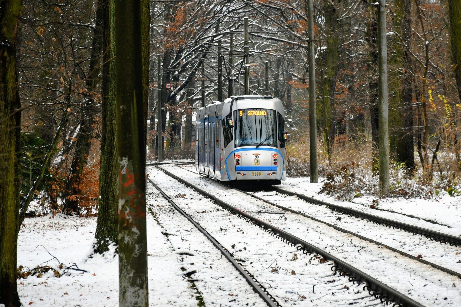 Święta i Nowy Rok we wrocławskim MPK. Jak będą jeździć tramwaje i autobusy?