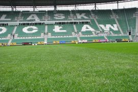 [Wrocław] To nie żart - Stadionu Miejskiego pilnują jastrzębie