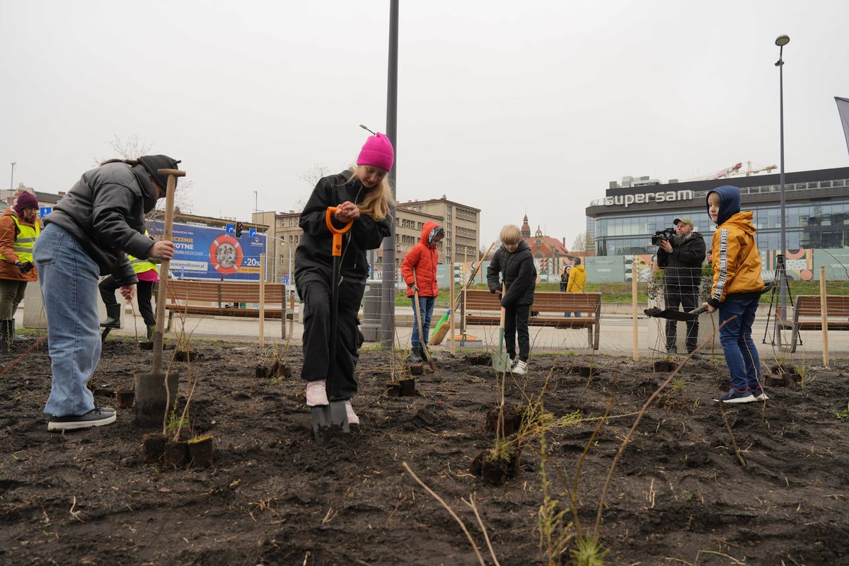 Fot. M. Malina / KAW / UM Katowice