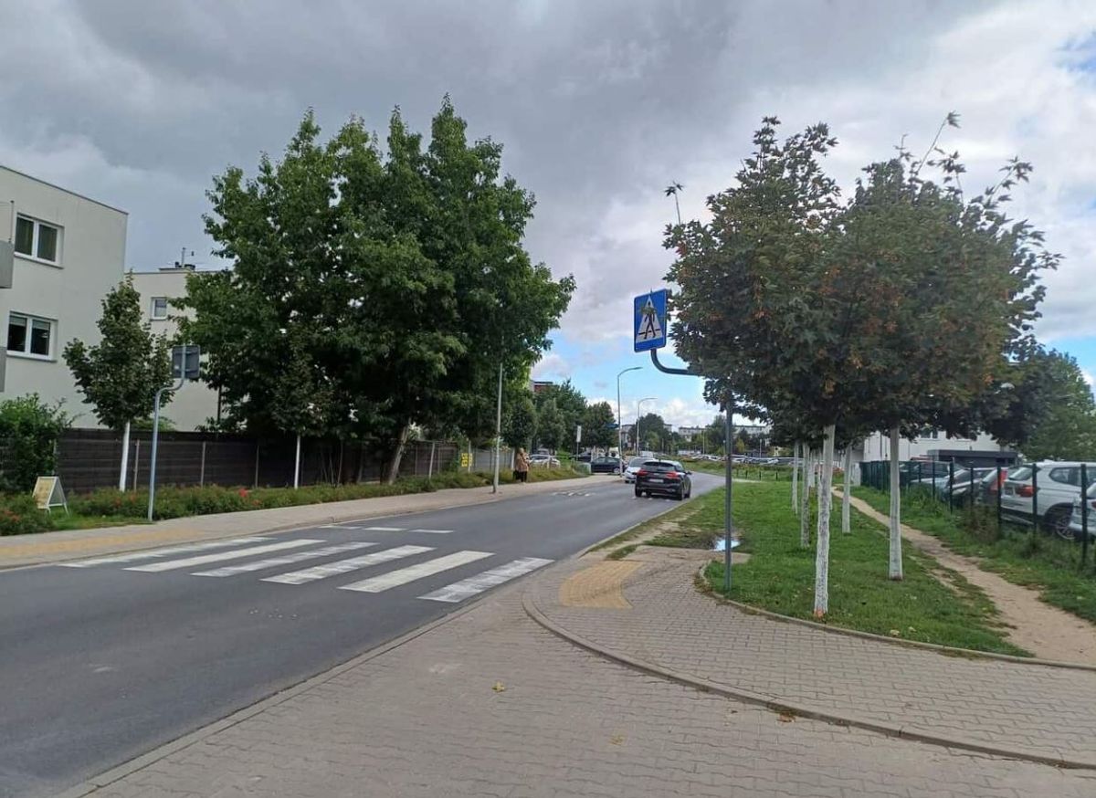Fot. Materiały prasowe