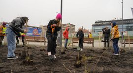 W Katowicach powstają mikrolasy tworzone w oparciu o metodę Miyawaki