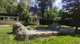 Warszawskie ZOO otwiera powiększony wybieg dla gepardów