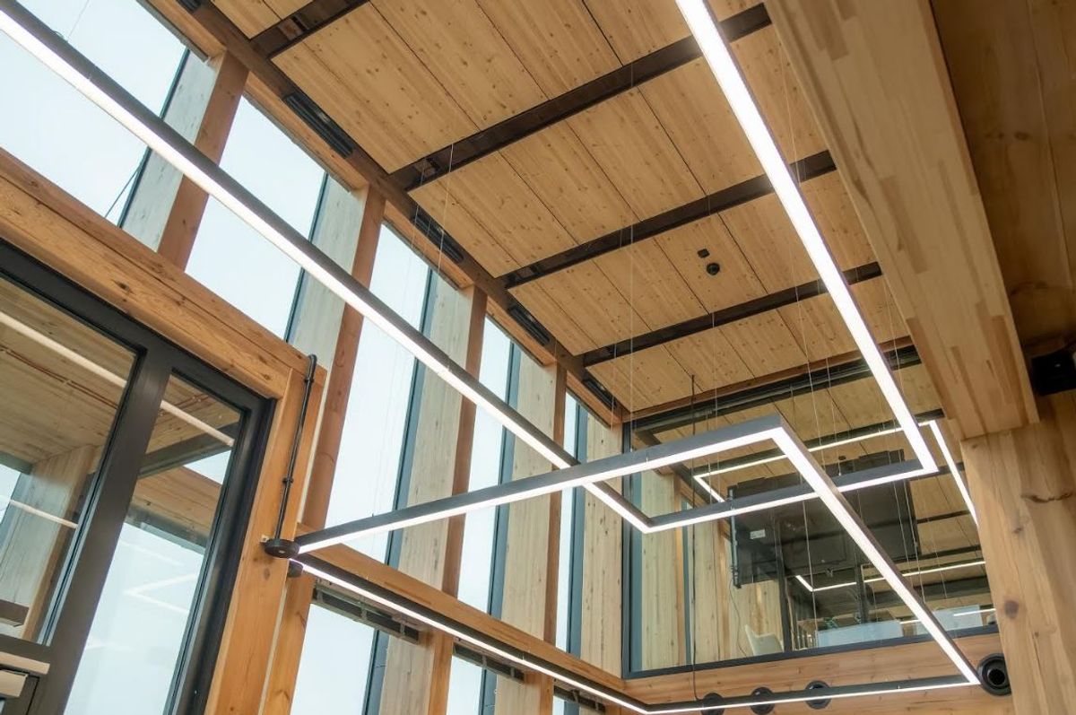 Fot. Materiały prasowe