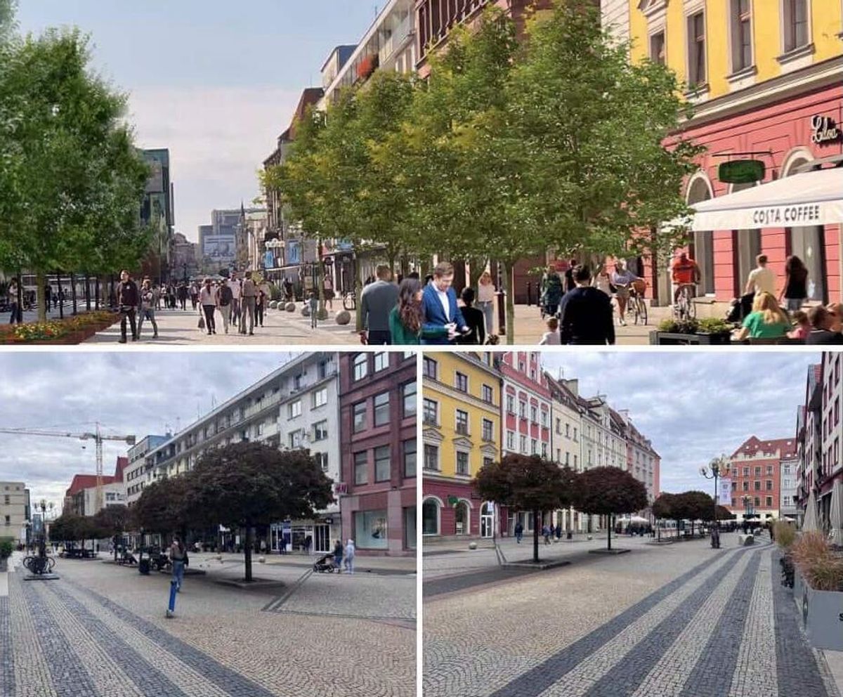 Fot. Materiały prasowe