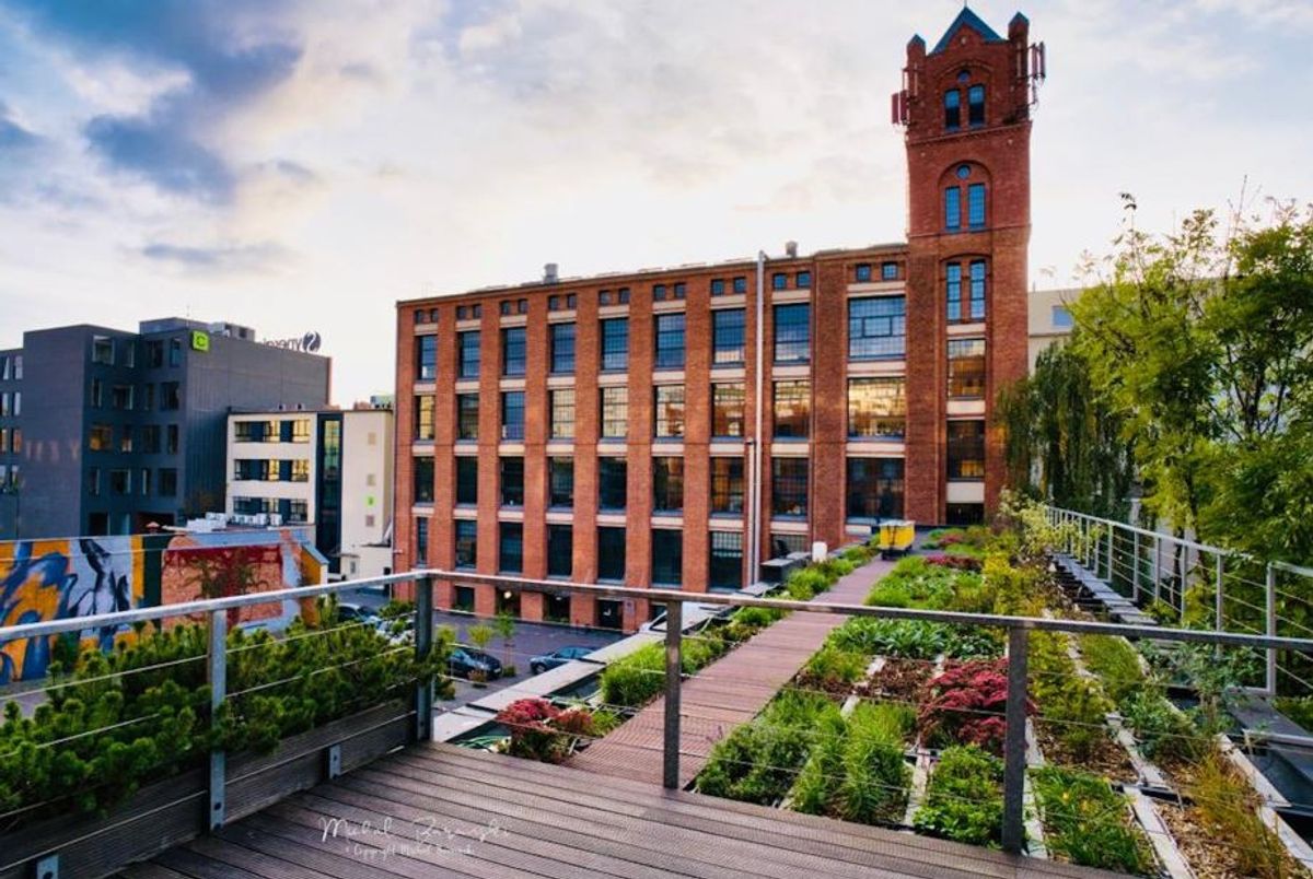 Fot. Materiały prasowe