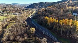 PKP PLK sadzi tysiące drzew w ramach największej inwestycji na południu kraju