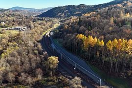 PKP PLK sadzi tysiące drzew w ramach największej inwestycji na południu kraju