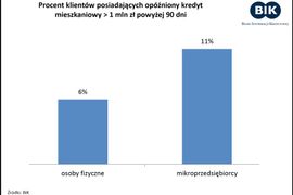 [Polska] Kredyty wysokokwotowe lepiej obsługują klienci indywidualni niż mikroprzedsiębiorcy