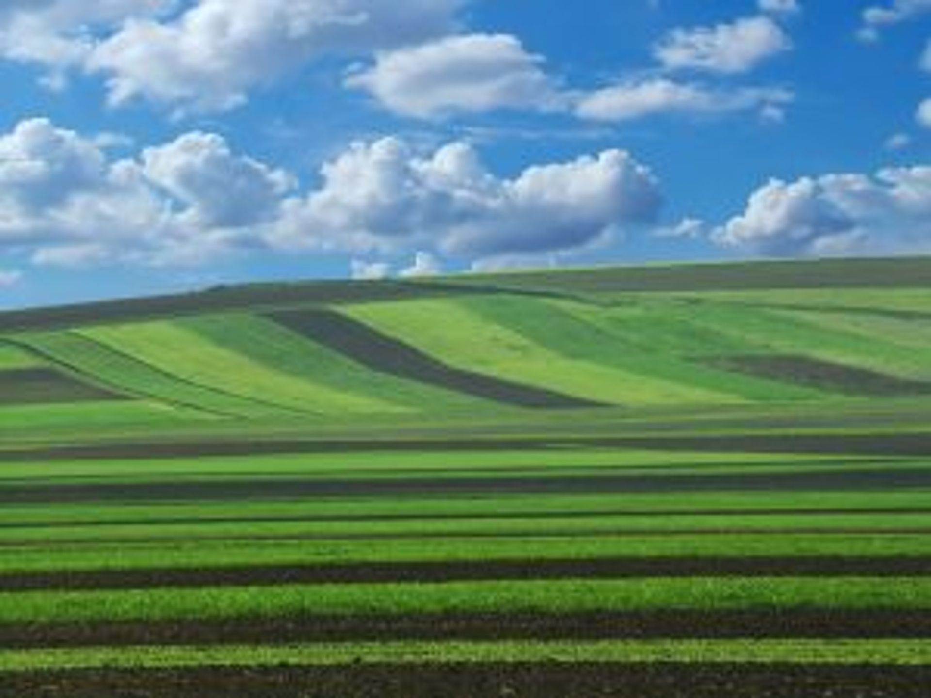  Zmiany w obrocie ziemią rolną podwyższą ceny gruntów pod inwestycje – sprzedaż ziemi rolnej deweloperowi możliwa po wcześniejszym „odrolnieniu”