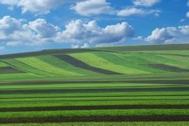 [Polska] Zmiany w obrocie ziemią rolną podwyższą ceny gruntów pod inwestycje – sprzedaż ziemi rolnej deweloperowi możliwa po wcześniejszym „odrolnieniu”