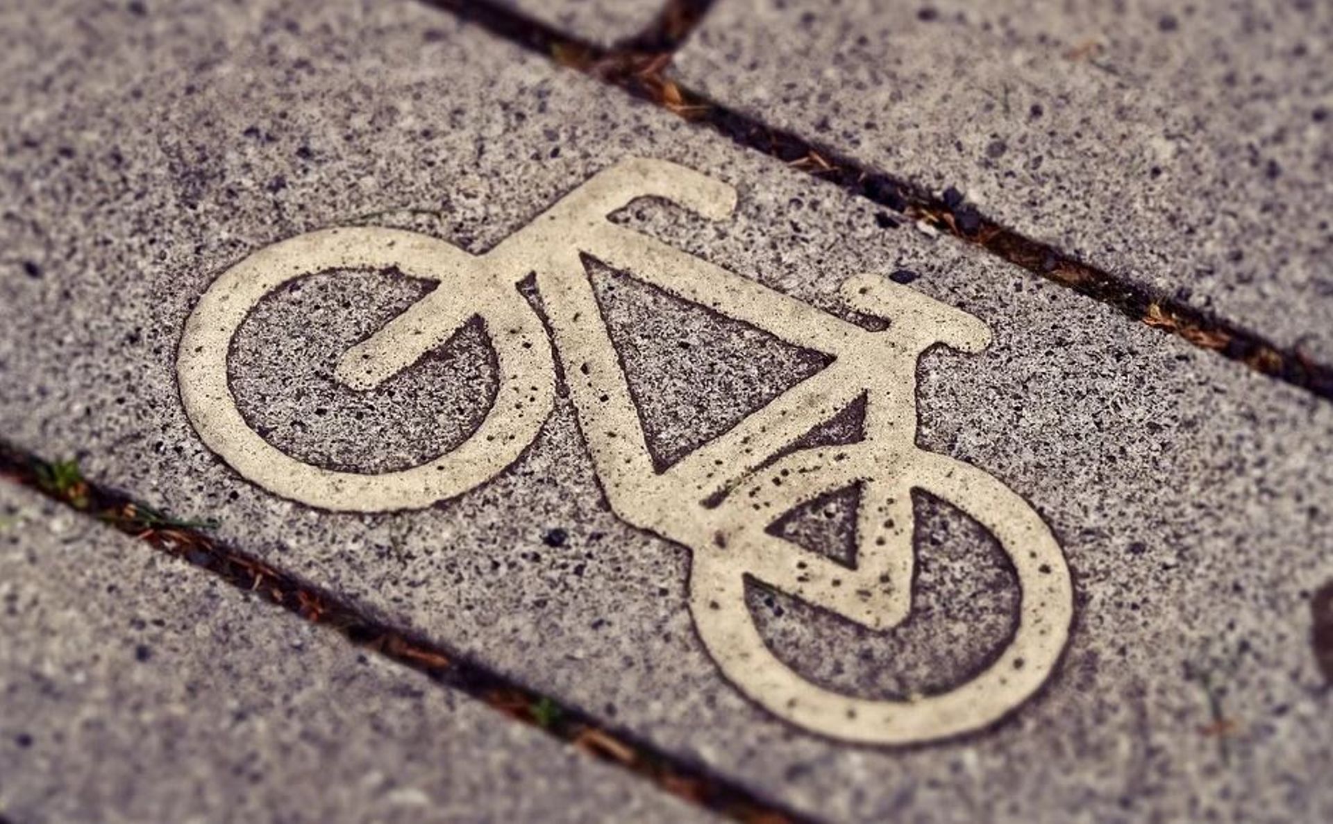 We Wrocławiu planowane są kolejne nowe inwestycje dla rowerzystów