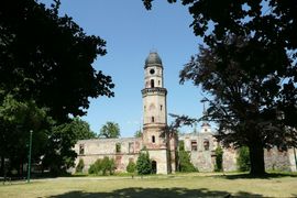 Prywatny inwestor zamierza odbudować średniowieczny zamek w Strzelcach Opolskich [FILMY]