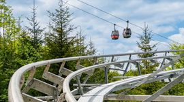 W Szczyrku zostanie otwarta całoroczna kolejka grawitacyjna Salamandra Alpine Coaster