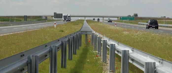 Zostanie wyremontowany fragment drogi ekspresowej S5 między węzłami Poznań Wschód i Strumiany