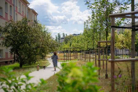 Park linearny na warszawskich Bielanach prawie gotowy [ZDJĘCIA]