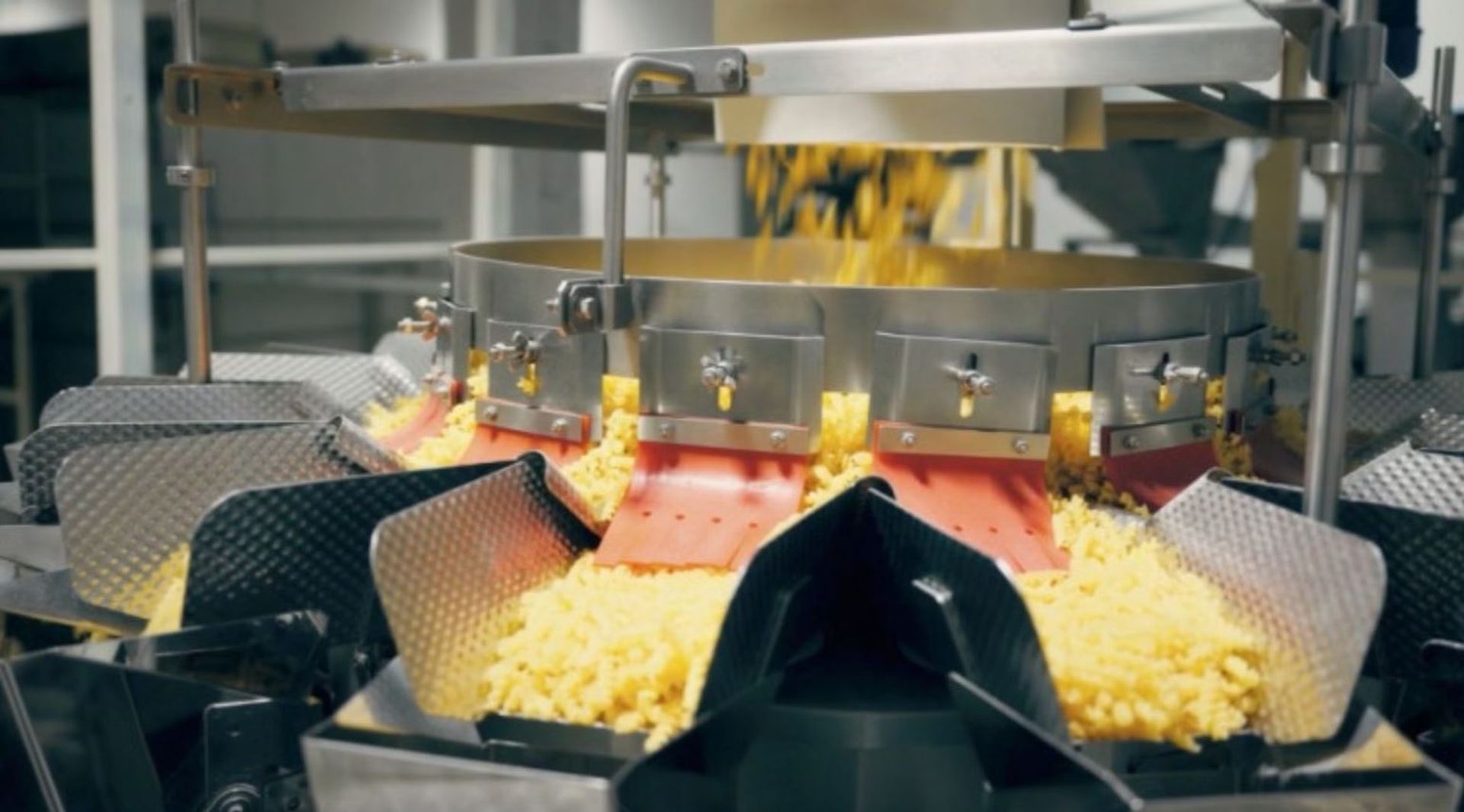 Makarony Polskie rosną w siłę. Przejmują Joyfood i inwestują 60 mln zł w automatyzację produkcji