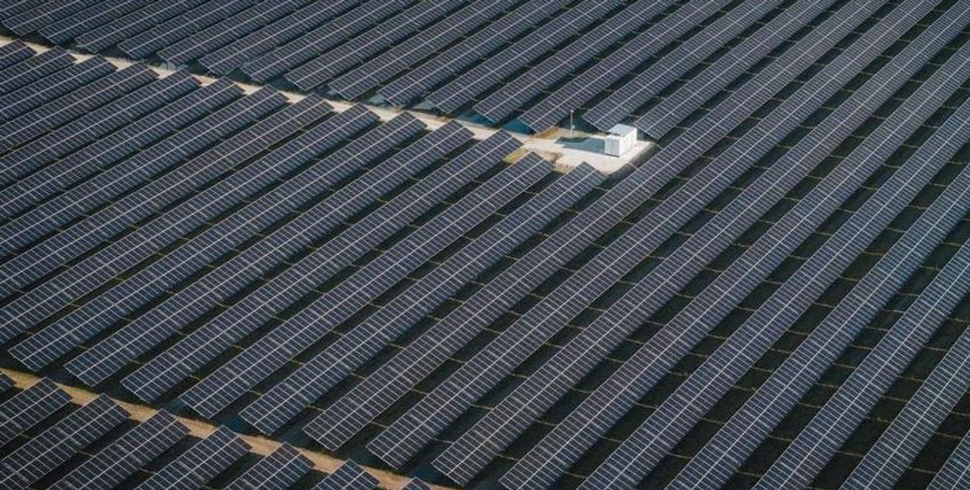 W woj. lubuskim powstaje jedna z największych farm fotowoltaicznych w Polsce