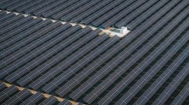 W woj. lubuskim powstaje jedna z największych farm fotowoltaicznych w Polsce