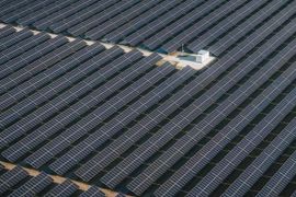 W woj. lubuskim powstaje jedna z największych farm fotowoltaicznych w Polsce