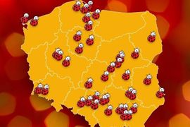 Kolejne 46 nowych i wyremontowanych Biedronek w całej Polsce [LISTA]