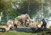 W Małopolsce powstanie nowy park tematyczny o prehistorii, mamutach i lokalnych czarownicach