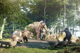 W Małopolsce powstanie nowy park tematyczny o prehistorii, mamutach i lokalnych czarownicach