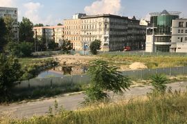 Wrocław: Develia rusza z przygotowaniami do budowy biurowca w miejsce dawnego szkieletora