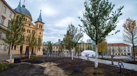 Ponad 100 tys. drzew przybyło w Łodzi w 2023 r.! Gdzie się pojawiły? [ZDJĘCIA] 