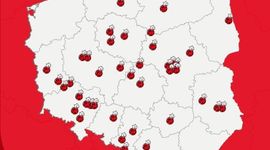 Wiosenne przyspieszenie Biedronki. Sieć otwiera i modernizuje sklepy