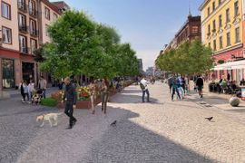 Reprezentacyjna ulica Świdnicka we Wrocławiu przejdzie zieloną metamorfozę [WIZUALIZACJE]