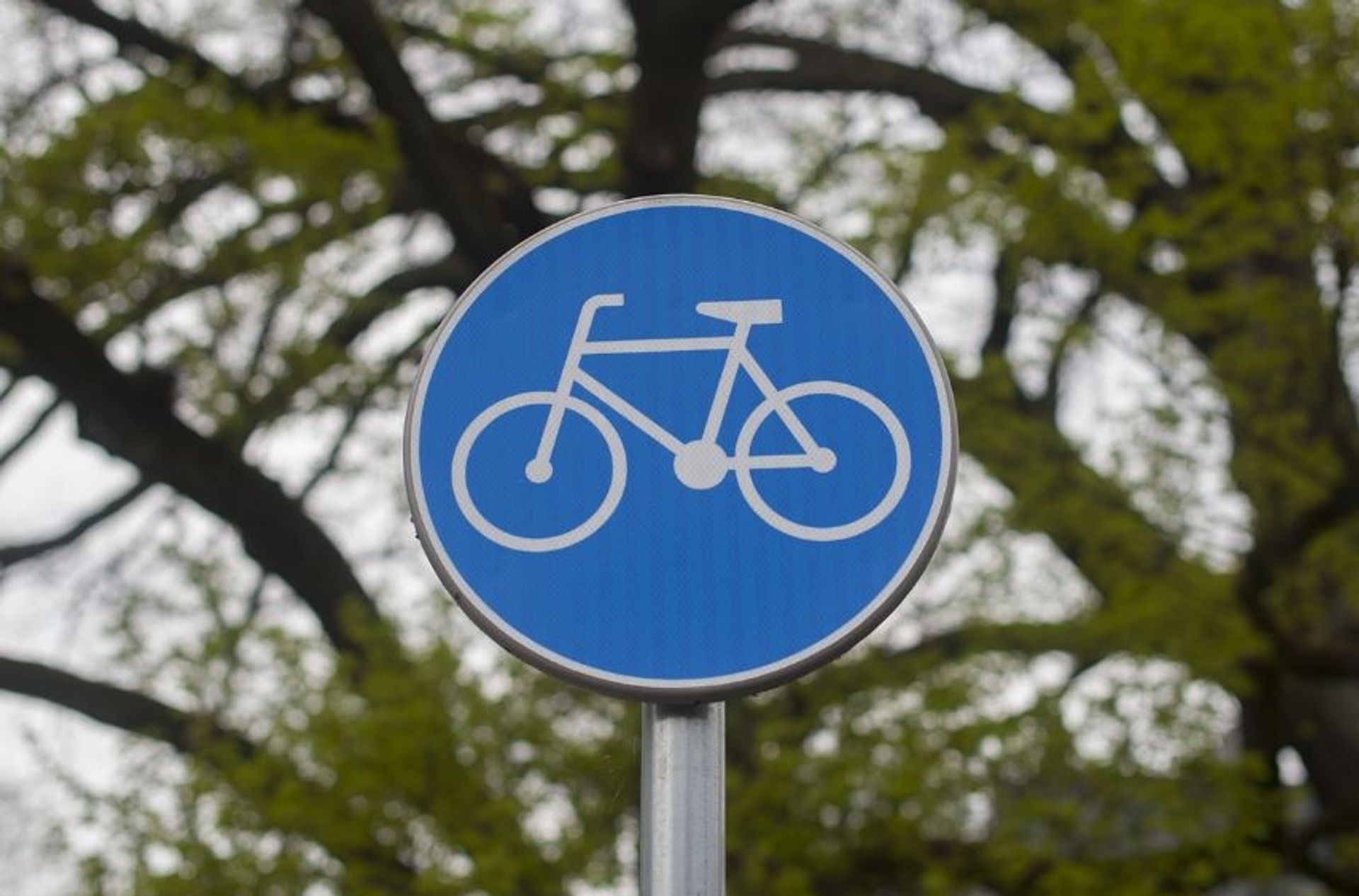 Gdzie powstaną nowe drogi rowerowe w Łodzi w 2024 roku?