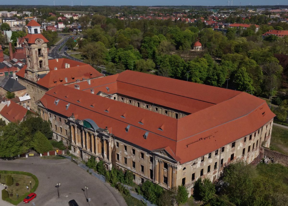 Fot. Longmannn - Praca własna, CC0, https://commons.wikimedia.org/w/index.php?curid=191014599