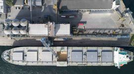 Czwarty terminal w Porcie Gdynia czeka na decyzję Brukseli. Port zwiększa przeładunki zbóż