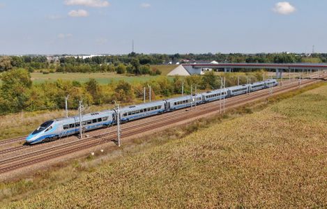 Centralna Magistrala Kolejowa przyjaźniejsza dla zwierząt