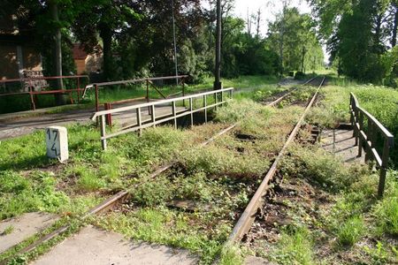 Elbląg Zdrój – Braniewo: Pociągi Kolei Nadzalewowej wrócą po 20 latach przerwy