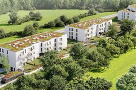 Powiew wiosny na rynku mieszkań w Polsce. Ceny spadną? [KOMENTARZ EKSPERCKI]