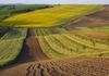 [Polska] Obrót gruntami rolnymi: niemiecki rolnik może kupić polską ziemię