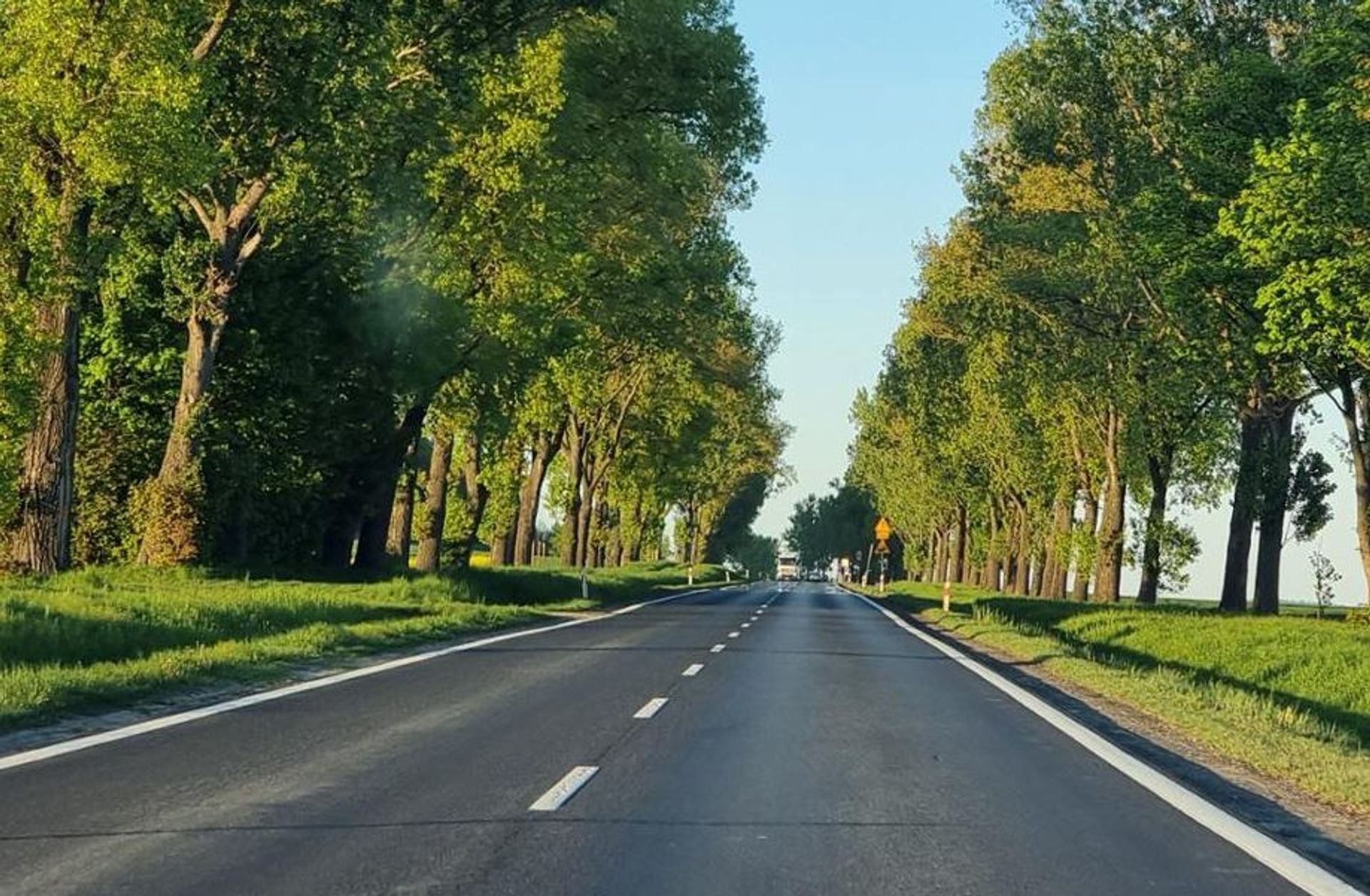 12 ofert w przetargu na zaprojektowanie ostatniego odcinka S8 na Dolnym Śląsku