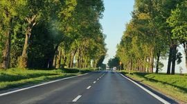 12 ofert w przetargu na zaprojektowanie ostatniego odcinka S8 na Dolnym Śląsku