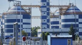 W Łodzi ma powstać duża biogazownia, która wyprodukuje ciepło z biomasy