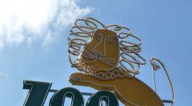 [Wrocław] We wrocławskim ZOO, mimo zimy, twa budowa nowych pawilonów dla zwierząt