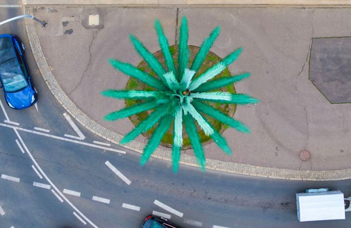Fot. Cezary Warś / UM Warszawa